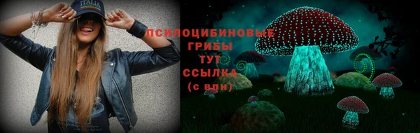 тгк Нязепетровск