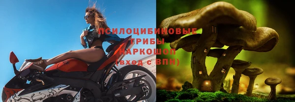 прущий лед Няндома