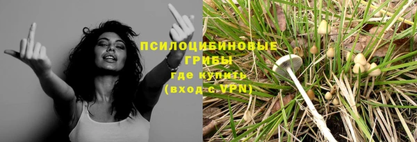 тгк Нязепетровск